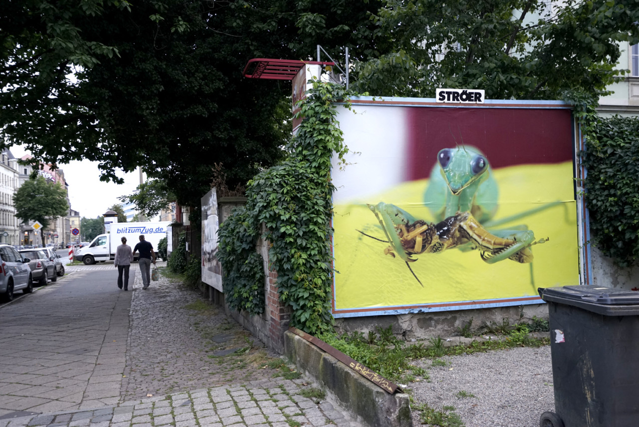 2 min ago - DUESSELDORF PHOTO PANELS DISPLA(Y)CED 2107